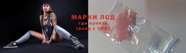 ГАЛЛЮЦИНОГЕННЫЕ ГРИБЫ Переславль-Залесский
