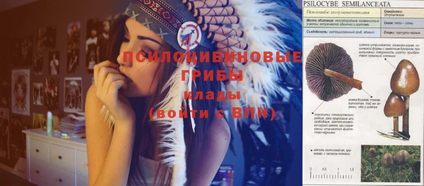 ГАЛЛЮЦИНОГЕННЫЕ ГРИБЫ Переславль-Залесский